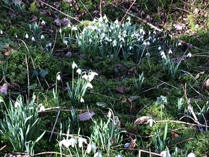 Bientôt le printemps !